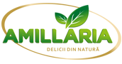 Amillaria - Sucuri si preparate naturale
